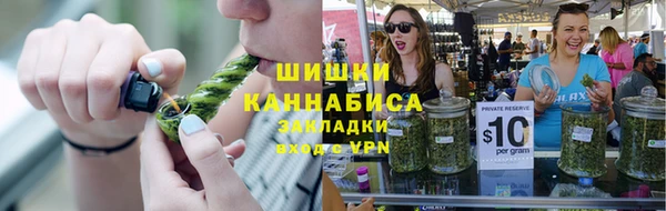 шишки Арсеньев