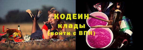 шишки Арсеньев