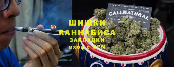 шишки Арсеньев